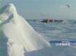 Полярники терпят бедствие на льдине