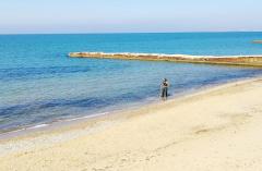 Учёные оценили, как восстанавливается Чёрное море после разлива мазута