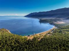 Российские ученые выявили 47 ранее неизвестных ДНК-вирусов в водах Байкала