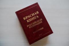 В России создают электронную Красную книгу и «Чёрную книгу» из 500 опасных растений
