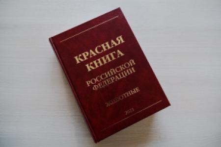 В России создают электронную Красную книгу и «Чёрную книгу» из 500 опасных растений