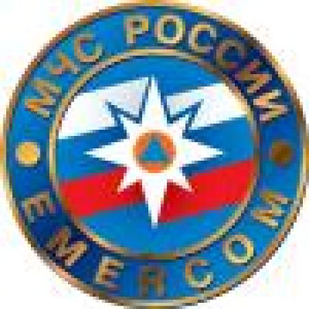 Спасатели МЧС начали эвакуацию россиян из Шри-Ланки