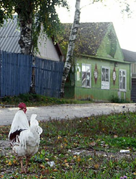 Рузские против